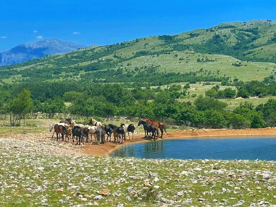Holiday Resort Zlatni Dol Mostar Goranci Екстер'єр фото