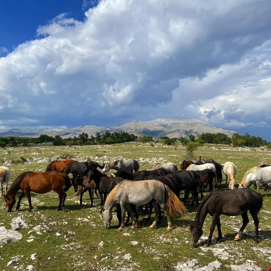 Holiday Resort Zlatni Dol Mostar Goranci Екстер'єр фото